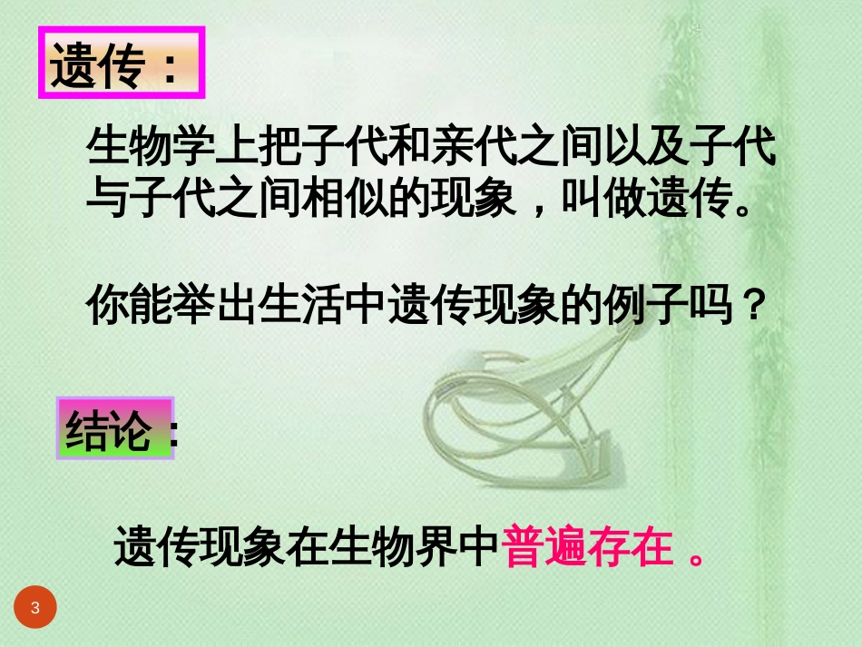 八年级生物上册 第四单元 第四章 第一节 遗传的物质基础优质课件 (新版)济南版_第3页