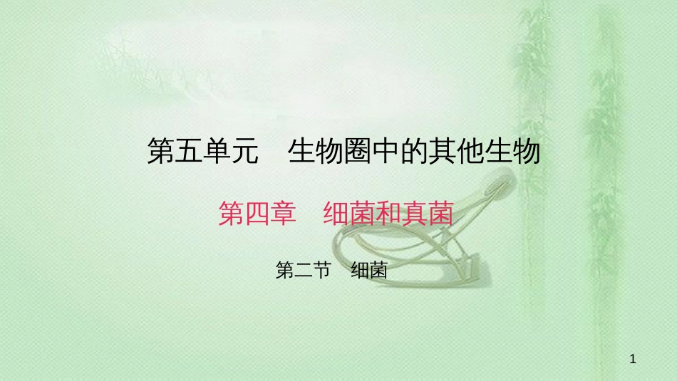 八年级生物上册 第五单元 第四章 第二节 细菌优质课件 (新版)新人教版_第1页