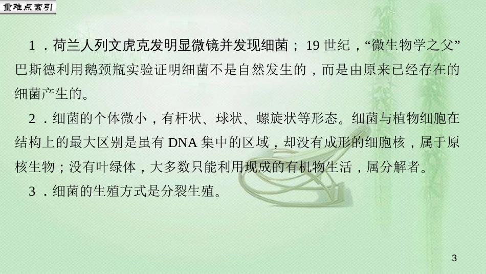 八年级生物上册 第五单元 第四章 第二节 细菌优质课件 (新版)新人教版_第3页