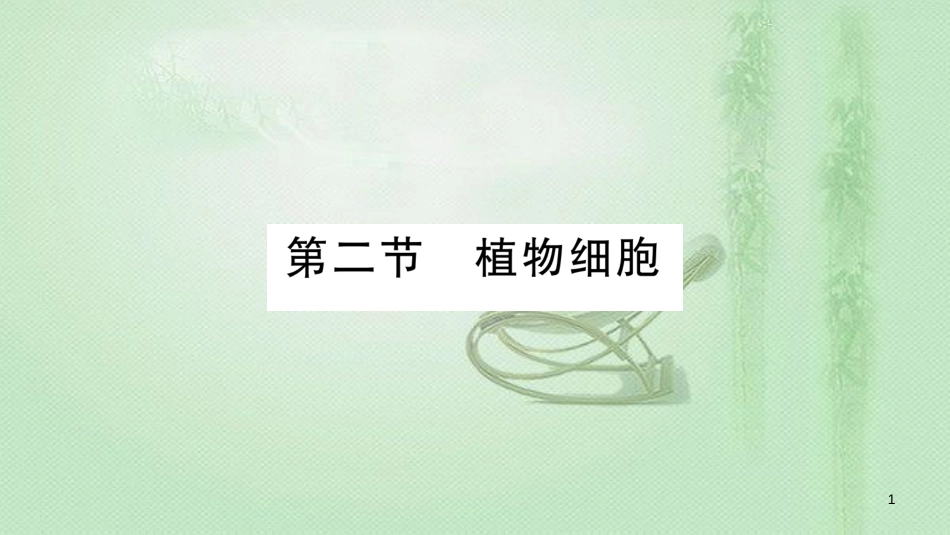 七年级生物上册 第2单元 第1章 第2节 植物细胞习题优质课件 （新版）新人教版_第1页