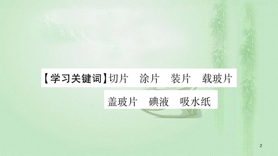 七年级生物上册 第2单元 第1章 第2节 植物细胞习题优质课件 （新版）新人教版_第2页
