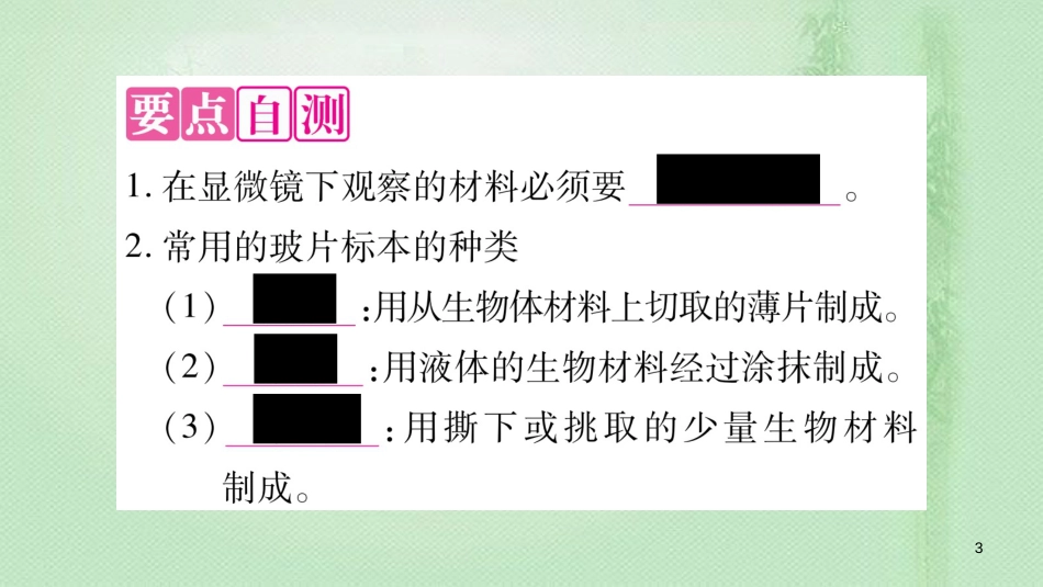 七年级生物上册 第2单元 第1章 第2节 植物细胞习题优质课件 （新版）新人教版_第3页