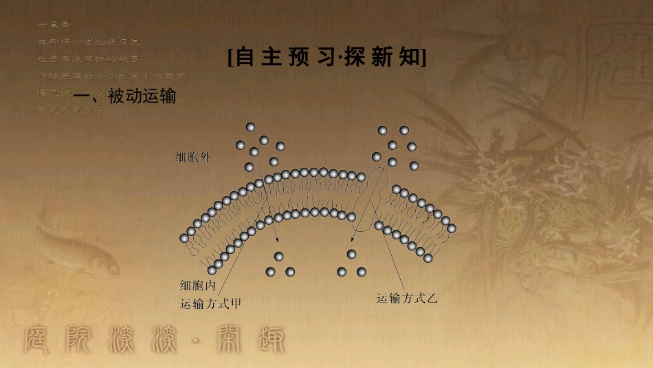 高中生物 第四章 细胞的物质输入和输出 第3节 物质跨膜运输的方式优质课件 新人教版必修1_第3页