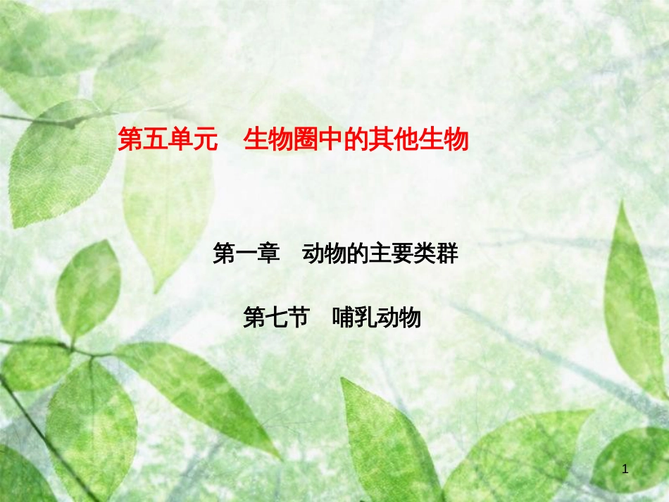 八年级生物上册 第5单元 第1章 第7节 哺乳动物习题优质课件 （新版）新人教版_第1页