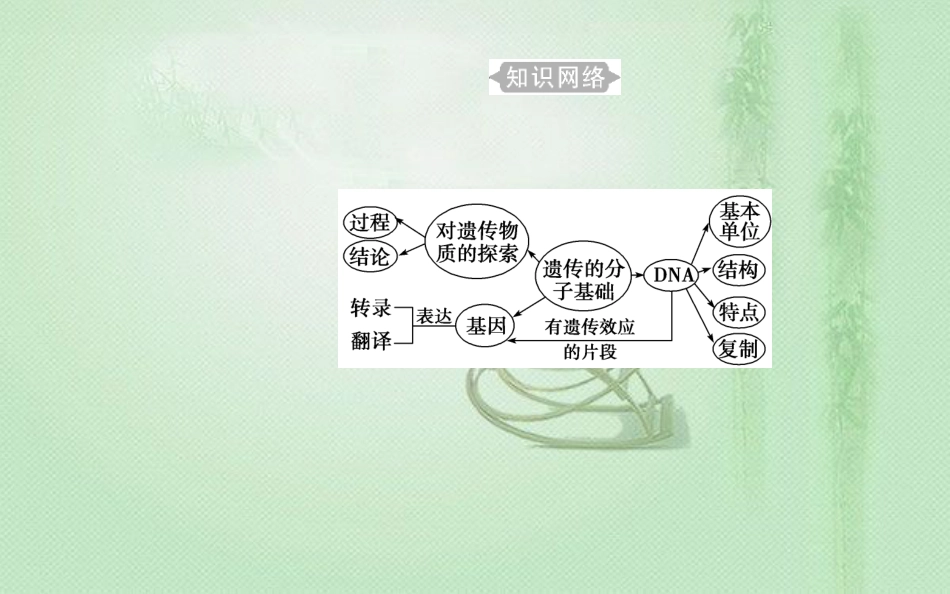 高中生物学业水平复习 专题七 遗传的分子基础 考点1 人类对遗传物质的探索过程优质课件_第2页