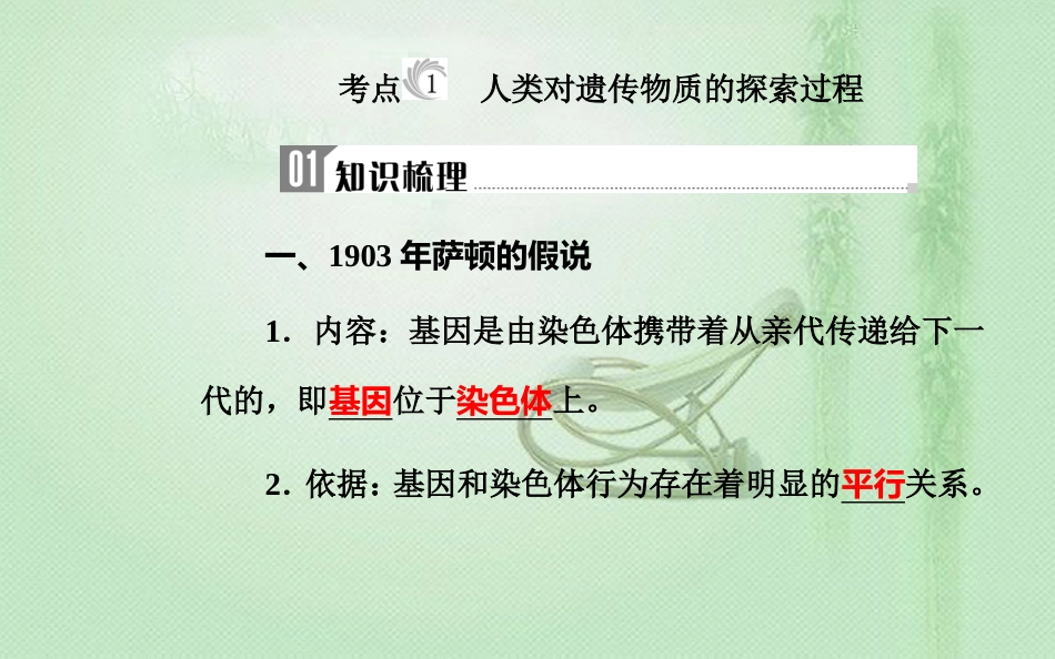 高中生物学业水平复习 专题七 遗传的分子基础 考点1 人类对遗传物质的探索过程优质课件_第3页