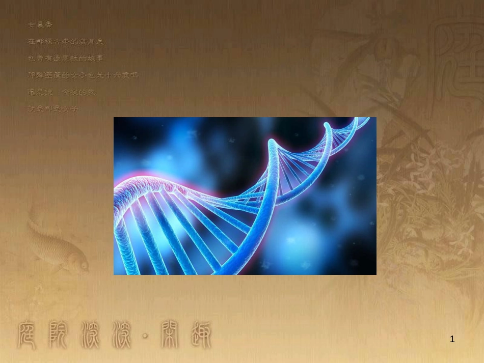高中生物 专题2.3 遗传信息的携带者—核酸优质课件 新人教版必修1_第1页