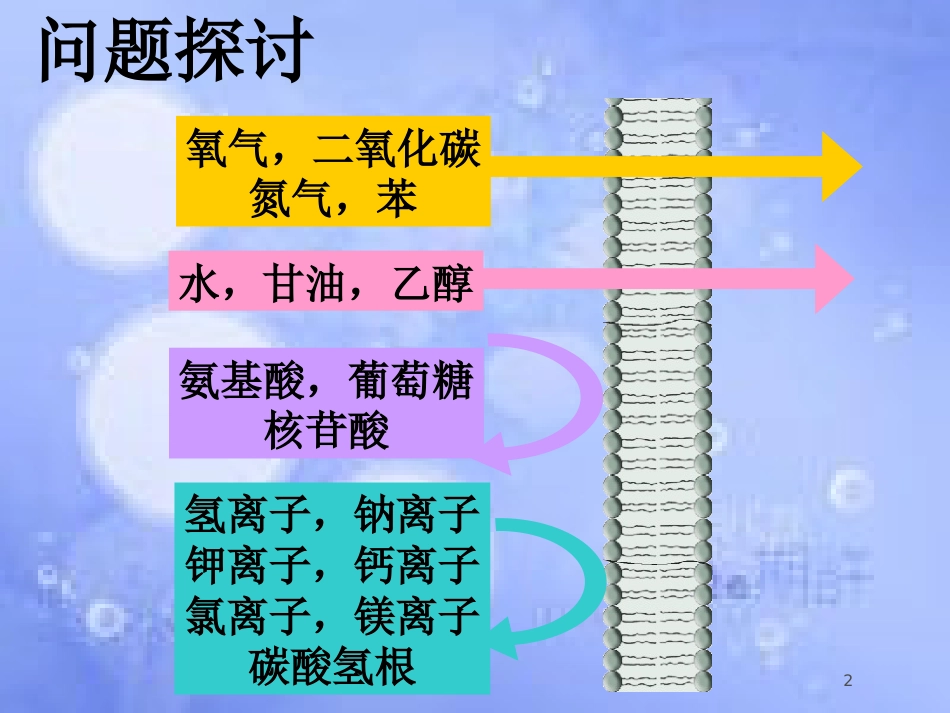 福建省寿宁县高中生物 第四章 物质跨膜运输的方式2课件 新人教版必修1_第2页