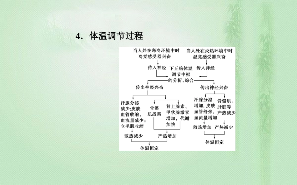 高中生物学业水平复习 专题十四 人体的内环境与稳态 考点3 体温调节、水盐调节和血糖调节优质课件_第3页