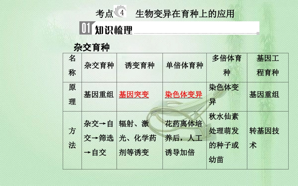 高中生物学业水平复习 专题九 生物的变异 考点4 生物变异在育种上的应用优质课件_第1页