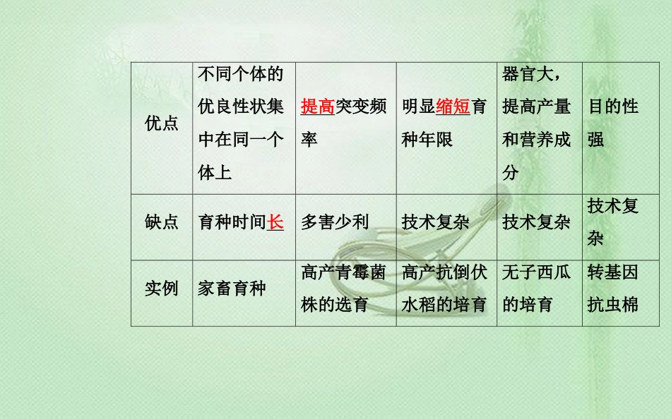 高中生物学业水平复习 专题九 生物的变异 考点4 生物变异在育种上的应用优质课件_第2页