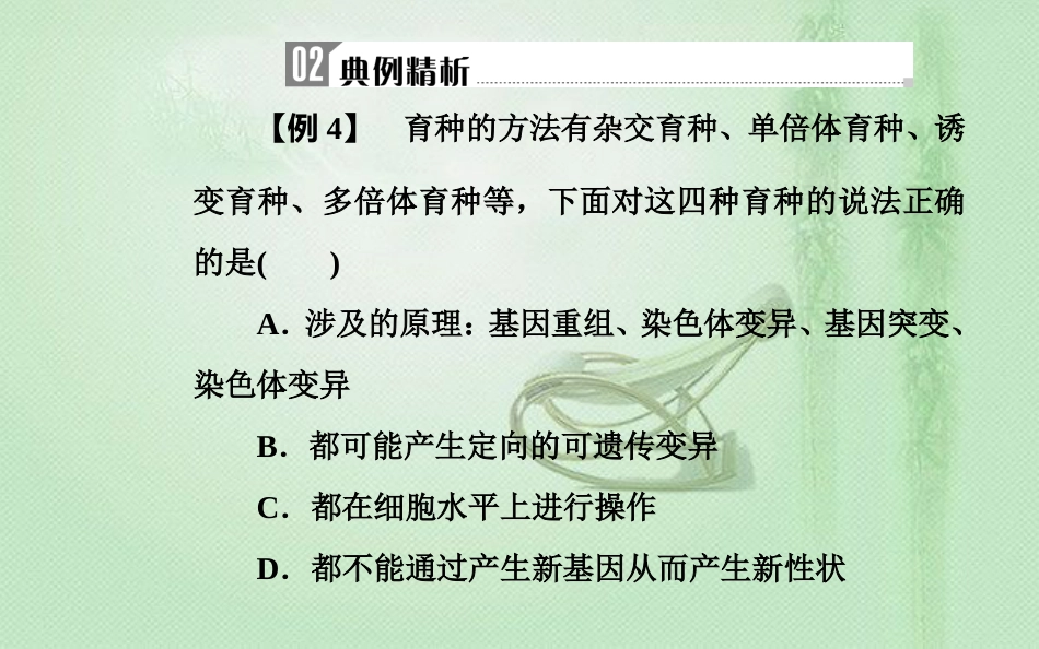 高中生物学业水平复习 专题九 生物的变异 考点4 生物变异在育种上的应用优质课件_第3页