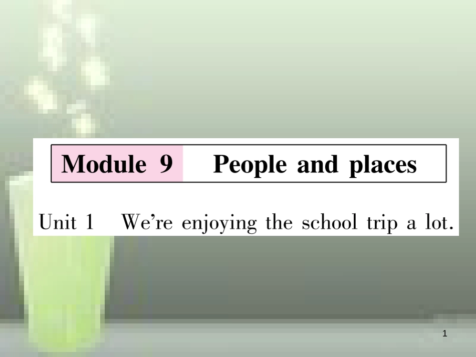 （浙江专用）七年级英语上册 Module 9 People and places Unit 1 We’re enjoying the school trip a lot习题优质课件 （新版）外研版_第1页