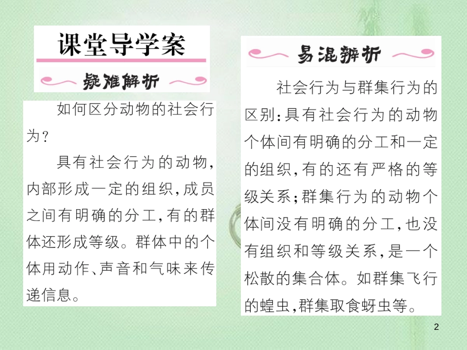 八年级生物上册 第五单元 第2章 第三节 社会行为优质课件 （新版）新人教版_第2页