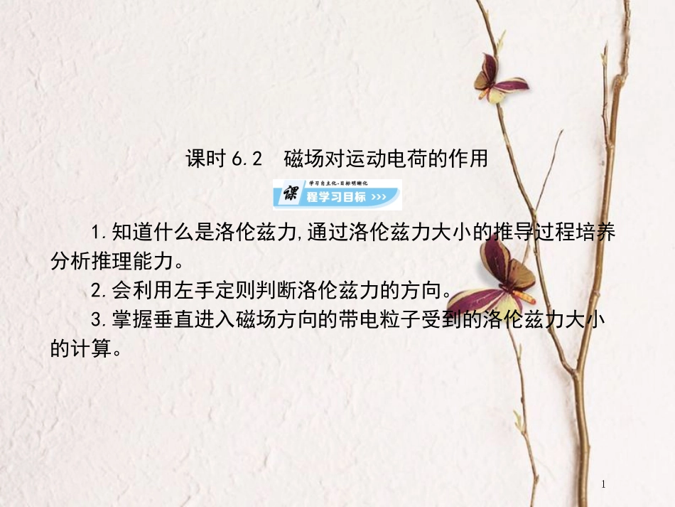 高中物理 第6章 磁场对电流和运动电荷的作用 第2节 磁场对运动电荷的作用课件 鲁科版选修3-1[共75页]_第1页