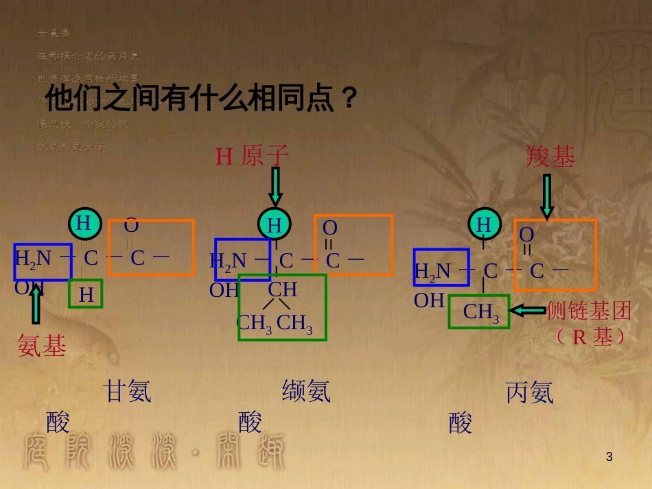 高中生物 专题2.2 生命活动的主要承担者—蛋白质优质课件 新人教版必修1_第3页