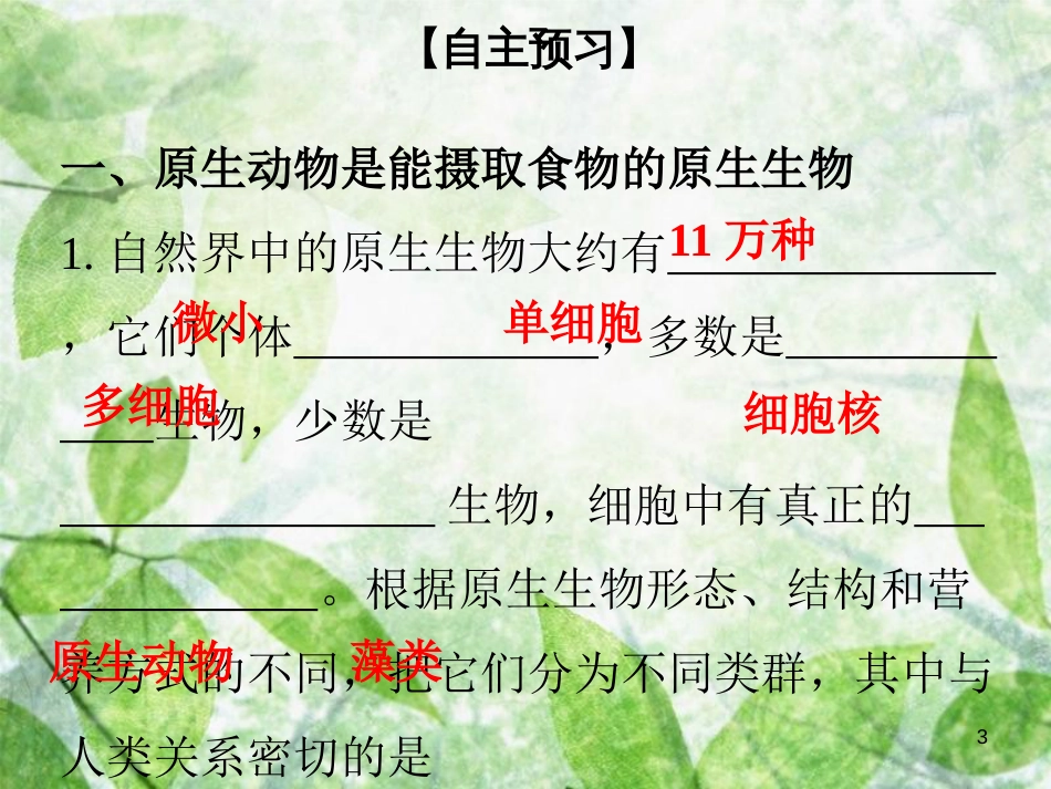 八年级生物下册 第七单元 第22章 第2节 原生生物的主要类群优质课件 （新版）北师大版_第3页