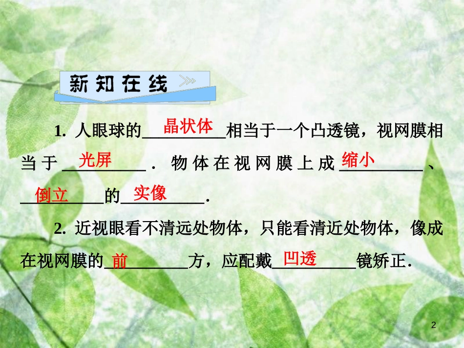 八年级物理全册 第四章 第六节 神奇的眼睛（第1课时 眼睛与视力矫正）优质课件 （新版）沪科版_第2页