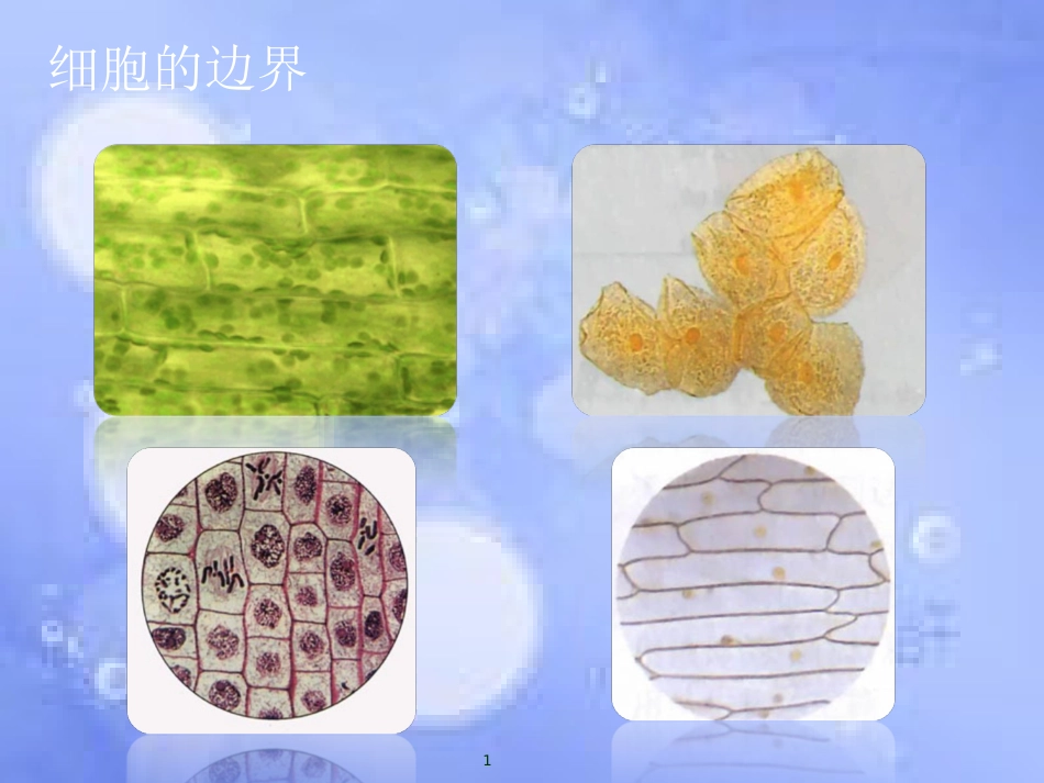 福建省寿宁县高中生物 第三章 细胞膜-系统的边界课件 新人教版必修1_第1页