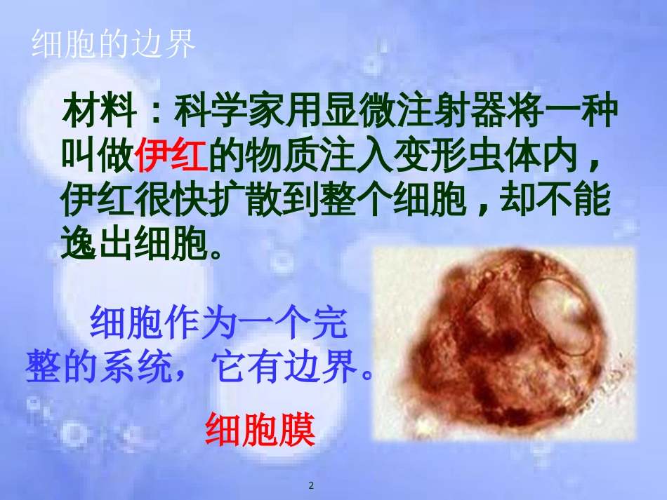 福建省寿宁县高中生物 第三章 细胞膜-系统的边界课件 新人教版必修1_第2页
