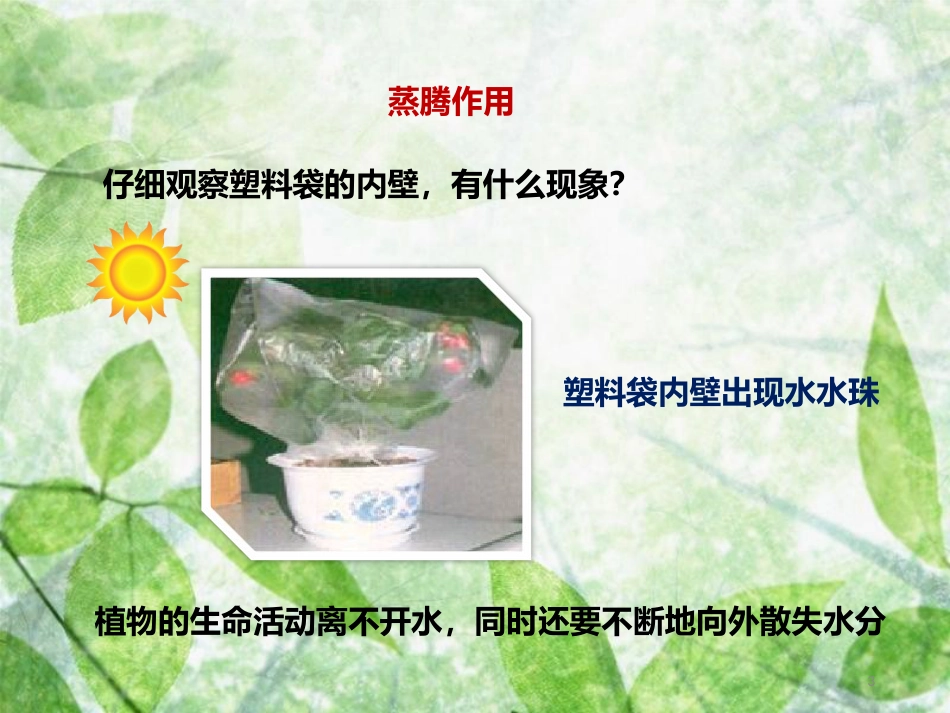 七年级生物上册 2.1.2《绿色植物的蒸腾作用》优质课件 （新版）济南版_第3页