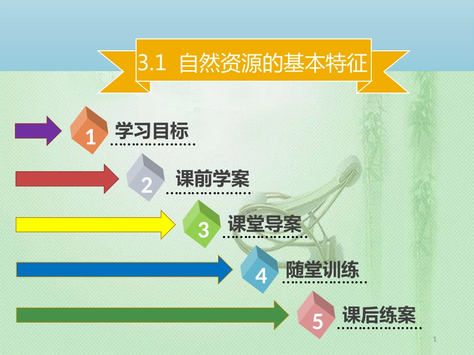 八年级地理上册 3.1 自然资源的基本特征习题优质课件 （新版）新人教版_第1页