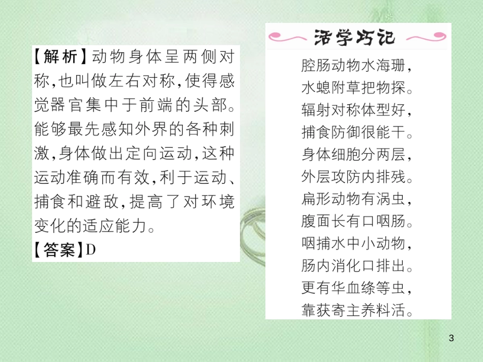 八年级生物上册 第五单元 第1章 第一节 腔肠动物和扁形动物优质课件 （新版）新人教版_第3页