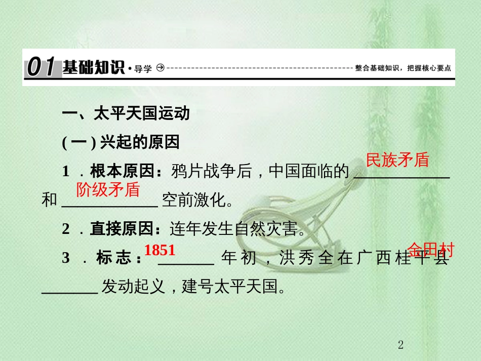 高考历史总复习 第三单元 近代中国反封建、求民主的潮流 1.3.11 太平天国运动与辛亥革命优质课件_第2页