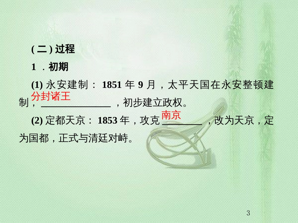 高考历史总复习 第三单元 近代中国反封建、求民主的潮流 1.3.11 太平天国运动与辛亥革命优质课件_第3页