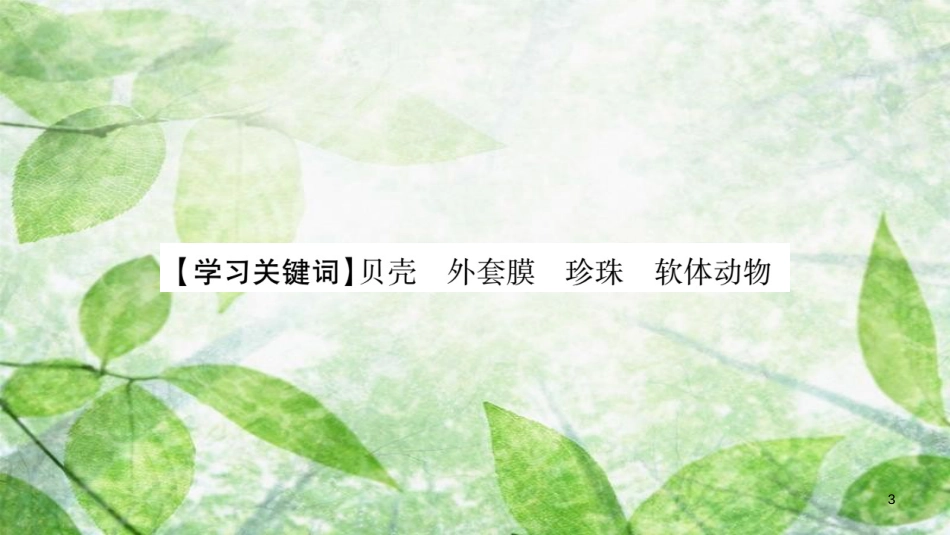 八年级生物上册 第5单元 第1章 第3节 软体动物和节肢动物第1课时习题优质课件 （新版）新人教版_第3页