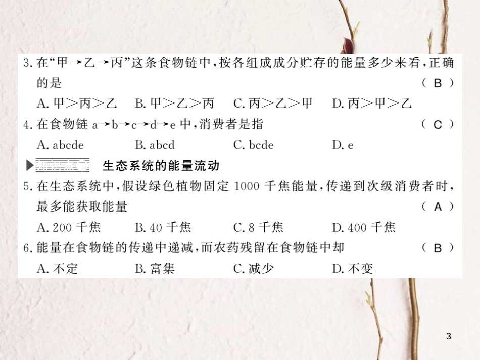 八年级生物下册 23.3 生态系统的结构和功能课件 （新版）北师大版[共20页][共20页]_第3页