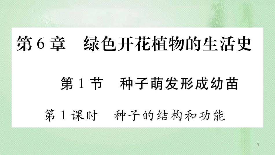 七年级生物上册 第三单元 第6章 第1节 种子萌发形成幼苗（第1课时）习题优质课件 （新版）北师大版_第1页