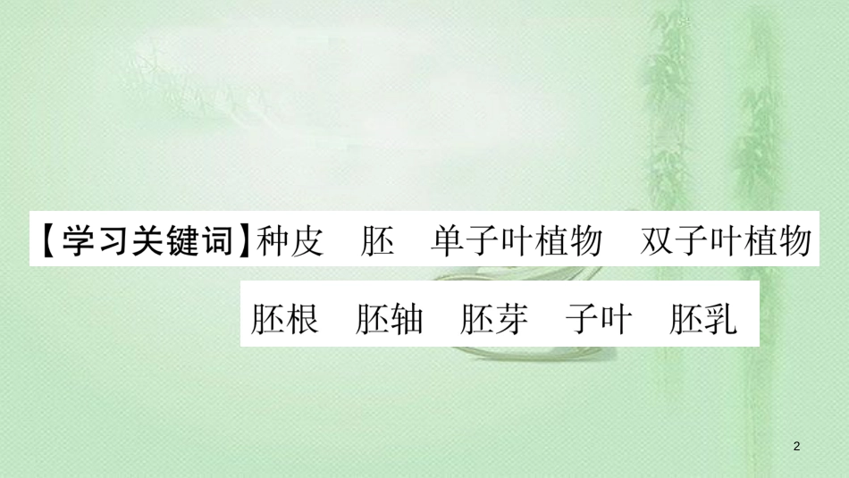 七年级生物上册 第三单元 第6章 第1节 种子萌发形成幼苗（第1课时）习题优质课件 （新版）北师大版_第2页