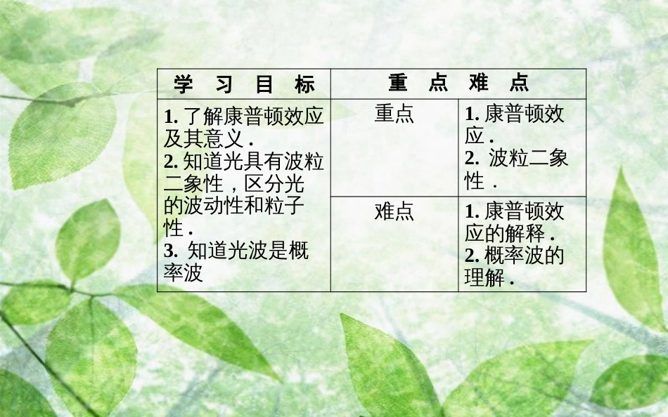 高中物理 第二章 波粒二象性 第三、四节 光的波粒二象性优质课件 粤教版选修3-5_第3页