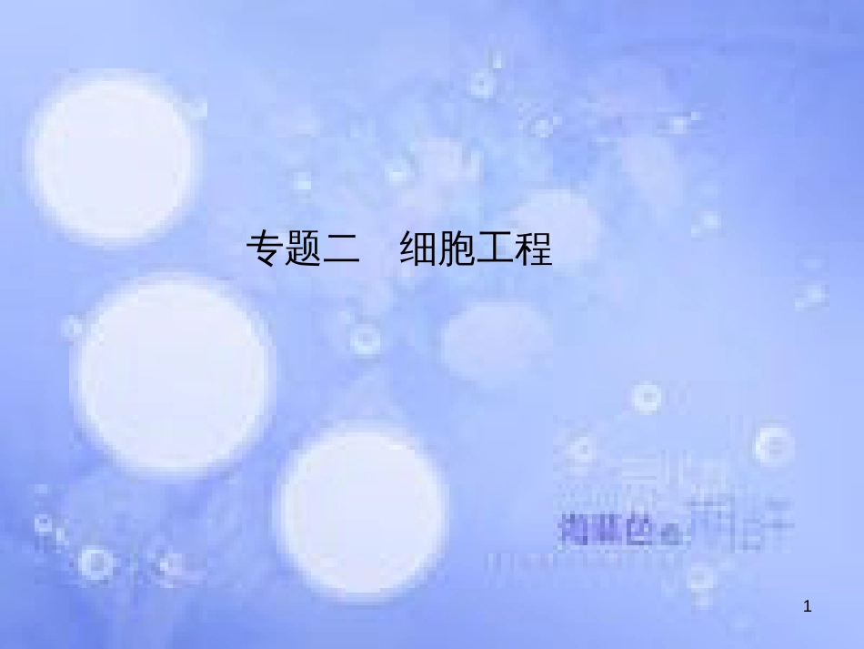 高三生物一轮复习 专题二 细胞工程课件 新人教版选修3_第1页