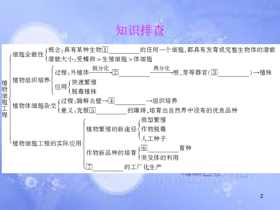 高三生物一轮复习 专题二 细胞工程课件 新人教版选修3_第2页
