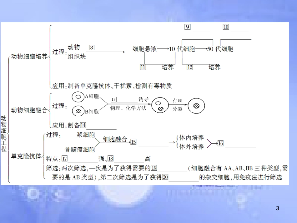 高三生物一轮复习 专题二 细胞工程课件 新人教版选修3_第3页