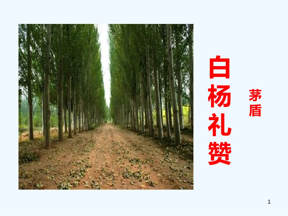 （河南专版）八年级语文上册 第四单元 14白杨礼赞优质课件 新人教版_第1页