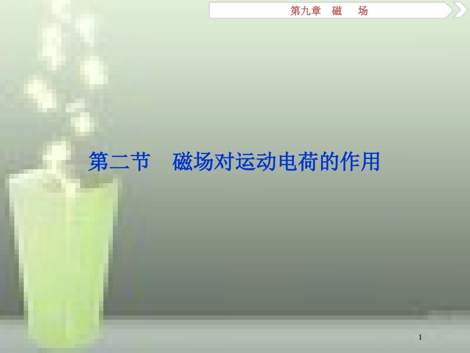 （新课标）2019届高考物理一轮复习 第9章 磁场 第二节 磁场对运动电荷的作用优质课件_第1页