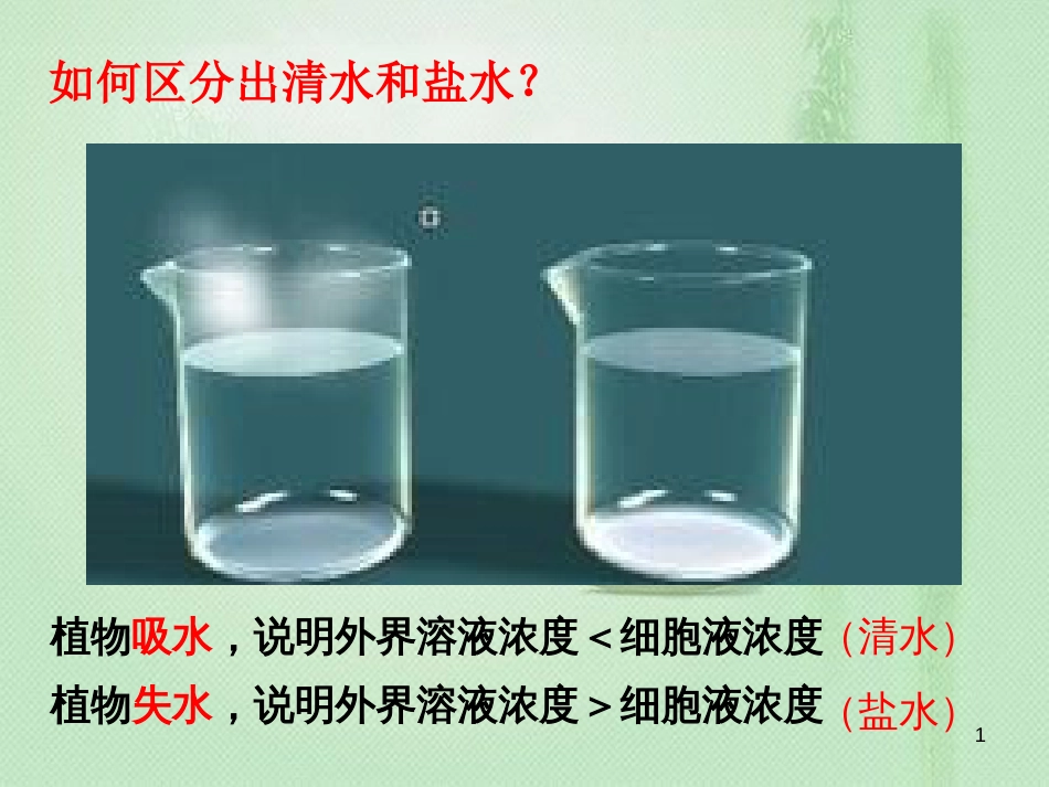 八年级生物上册 第三单元 第二章 第二节 根对水分的吸收优质课件 （新版）冀教版_第1页