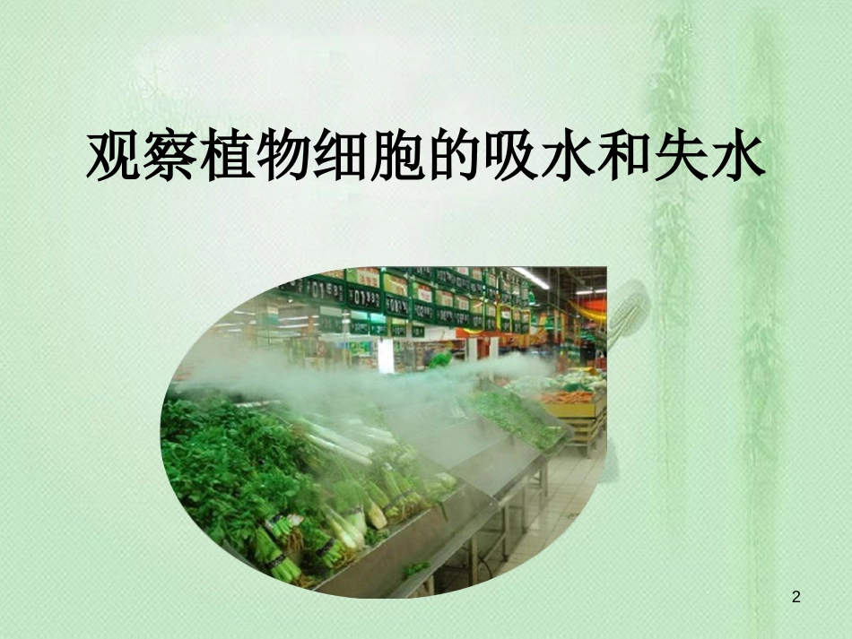 八年级生物上册 第三单元 第二章 第二节 根对水分的吸收优质课件 （新版）冀教版_第2页