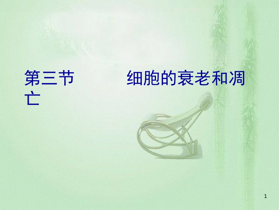 高中生物 专题6.3 细胞的衰老和凋亡同步优质课件 新人教版必修1_第1页