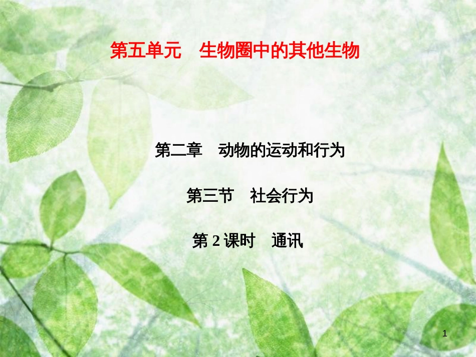 八年级生物上册 第5单元 第2章 第3节 社会行为（第2课时 通讯）习题优质课件 （新版）新人教版_第1页