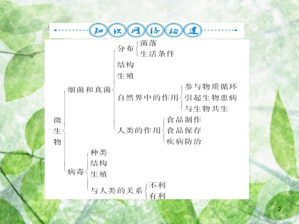 八年级生物上册 第五单元 第4-5章自主复习习题优质课件 （新版）新人教版_第2页