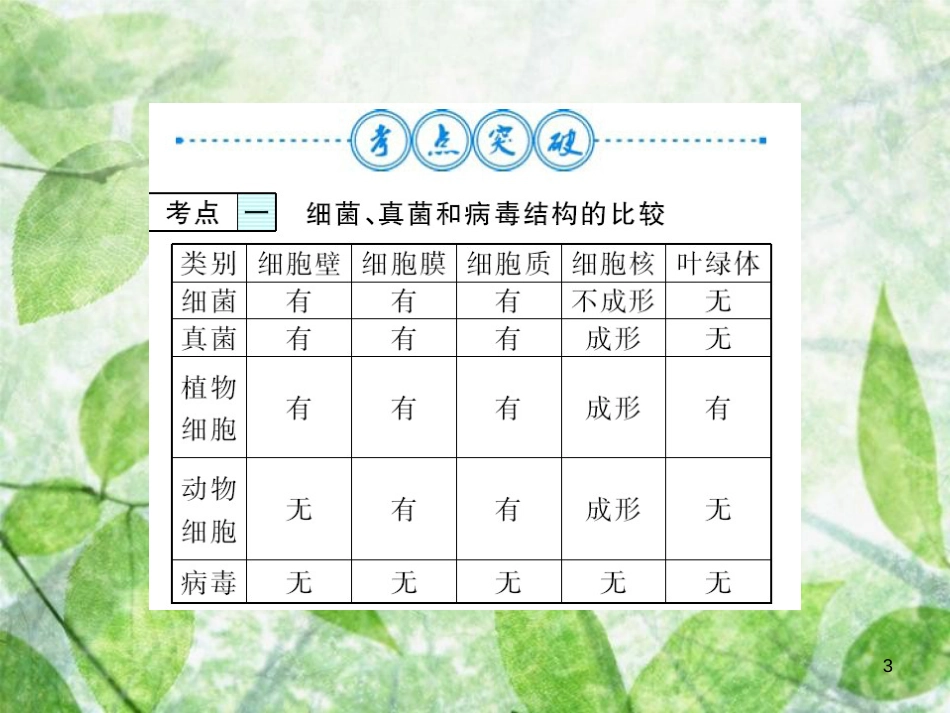 八年级生物上册 第五单元 第4-5章自主复习习题优质课件 （新版）新人教版_第3页