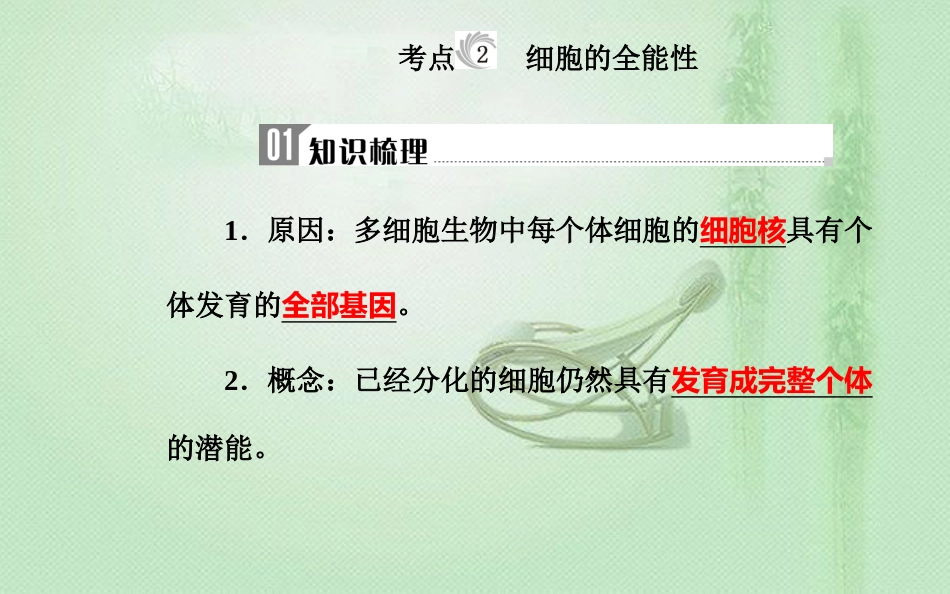 高中生物学业水平复习 专题五 细胞的分化、衰老和凋亡 考点2 细胞的全能性优质课件_第2页