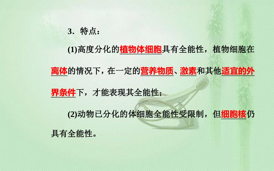 高中生物学业水平复习 专题五 细胞的分化、衰老和凋亡 考点2 细胞的全能性优质课件_第3页