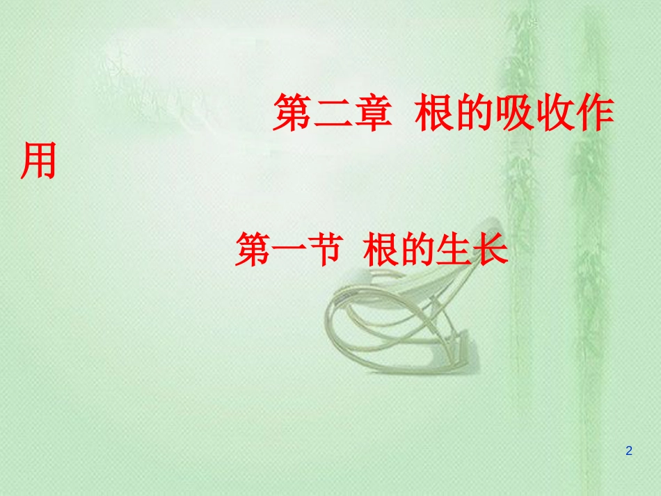 八年级生物上册 第三单元 第二章 第一节根的生长优质课件 （新版）冀教版_第2页