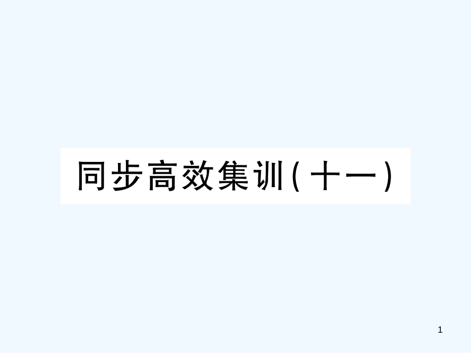 （江西专用）2018年中考地理 同步高效集训（十一）优质课件_第1页