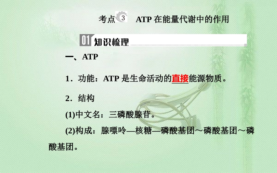 高中生物学业水平复习 专题三 细胞代谢 考点3 ATP在能量代谢中的作用优质课件_第2页